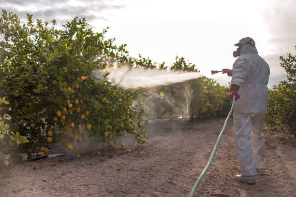 Reliable Sugarcreek, OH Pest Control Solutions