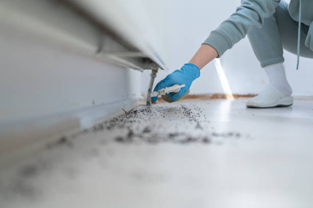 Best Wildlife Control Services  in Sugarcreek, OH
